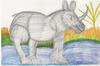 RHINO