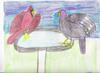 BIRDS BATHING