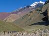 [Gallery CD01] Mule Supply Caravan, Aconcagua, Argentina