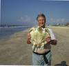 Kemp's Ridley Sea Turtle (Lepidochelys kempii)