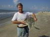 Kemp's Ridley Sea Turtle (Lepidochelys kempii)