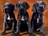 [Daily Photos CD03] Three Brothers
