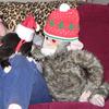 christmas cat 2