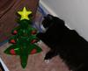 Christmas cat 2/3