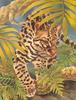 Consigliere Scan: Vanishing Species, The Wildlife Art of Laura Regan - 024 Ocelot