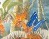 Consigliere Scan: Vanishing Species, The Wildlife Art of Laura Regan - 042 Butterfly