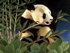 Consigliere Scan: Vanishing Species (Wallpaper) 003 Giant Panda