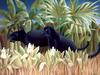 Consigliere Scan: Vanishing Species (Wallpaper) 005 Leopard Black Panther