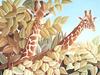 Consigliere Scan: Vanishing Species (Wallpaper) 007 Giraffe