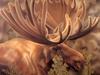 Consigliere Scan: Vanishing Species (Wallpaper) 019 Moose