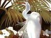 Consigliere Scan: Vanishing Species (Wallpaper) 023 Great Egret