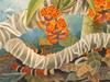Consigliere Scan: Vanishing Species (Wallpaper) 038 Costa Rican Coral Snake