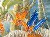 Consigliere Scan: Vanishing Species (Wallpaper) 039 Butterfly