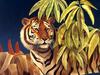 Consigliere Scan: Vanishing Species (Wallpaper) 044 Tiger