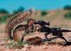 Animal soldier1