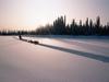 Screen Themes - Alaskan Wilderness - Sledder Racing in Yukon Quest