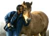 Horse (Fjord)