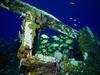 Screen Themes - Shipwrecks - Reef Scene with Shipwreck