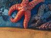 Screen Themes - Undersea Life 2 - Sea Star