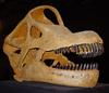 Dinosaur 01