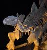 Dinosaur 02