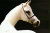 Horse head