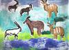 African hoofed wildlife