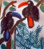 Toucans