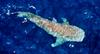 Whale Shark (Rhincodon typus)