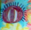 sea urchin