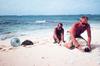 Hawaiian Monk Seal tagging (Monachus schauinslandi)