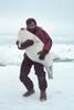 Ribbon Seal pup (Phoca fasciata)