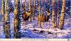 Scanworld 4th Anniversary: Leon Parson - Buck Fever on No-Tellum Ridge
