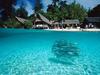 [Daily Photo CD03] Schooling of Fishes, Split-View of Sipida Island, Borneo