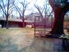 ANTELOPE PHOTO 1