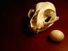 Calcium, from cradle to grave. Got milk?