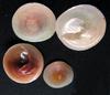 SHELL 11