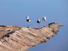 cliffhangers 1