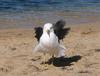 Out of the wind 4