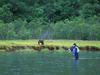 Double Take (Bear and Fisherman)