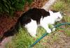 Velcro attacks the hose