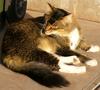 Sunbathing 2