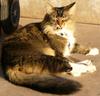 Sunbathing 3