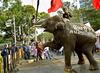 ELEPHANT  - EFE
