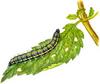 Caterpillar
