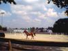 Horse back riding