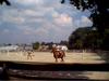 Horse back riding #2