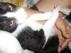 In the lap of love