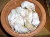 A bowl of babies