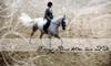 dreaage on horse